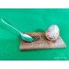 MEGGnetic Board and Spoon - St Mary's Edition